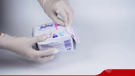 Anion absorventes higiênicos femininos almofadas de maternidade absorventes higiênicos femininos